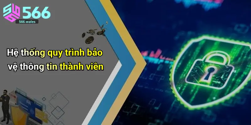 Hệ thống quy trình bảo vệ thông tin thành viên