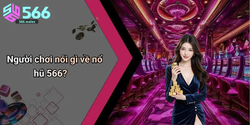 Người chơi nói gì về nổ hũ 566?