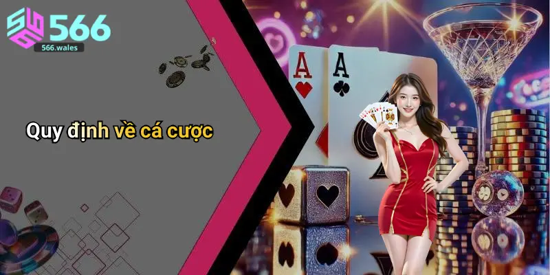 Quy định về cá cược