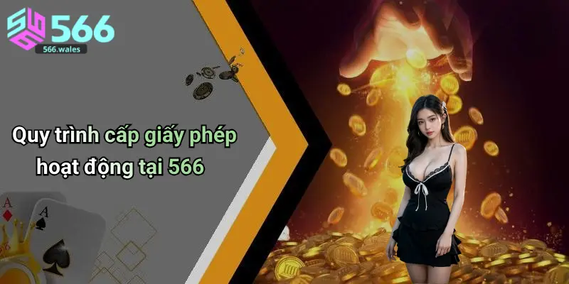 Quy trình cấp giấy phép hoạt động tại 566