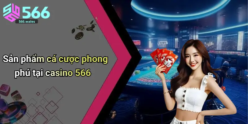 Sản phẩm cá cược phong phú tại casino 566