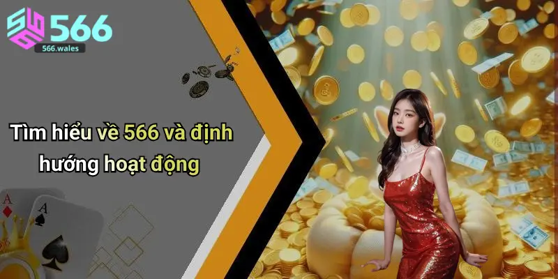 Tìm hiểu về 566 và định hướng hoạt động